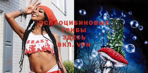 крисы Алексин