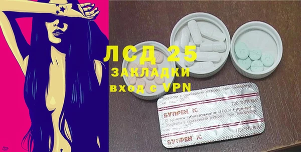 крисы Алексин