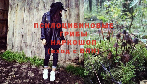 стаф Новозыбков