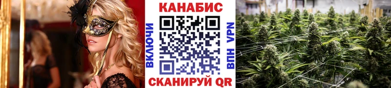 Шишки марихуана SATIVA & INDICA  что такое   Алзамай 